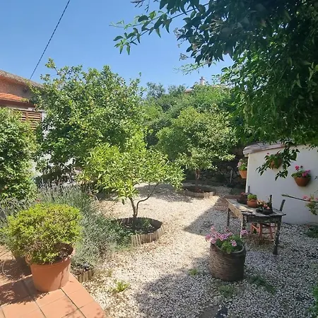 Giardino Dei Limoni *