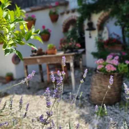 Apartment Giardino Dei Limoni Oliena