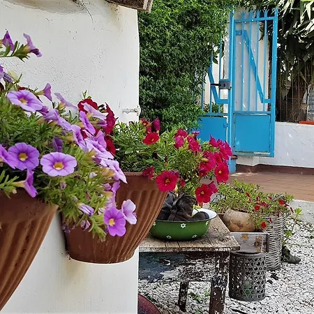 Giardino Dei Limoni Apartment Oliena