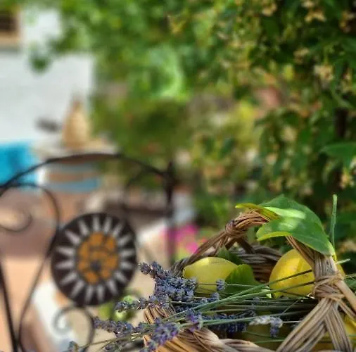 Daire Giardino Dei Limoni
